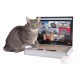 Fluffy Mouse and Ball Track Pad Laptop Scratcher For Cat