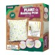 Sew Star Plant Rubbing Print Diy Craft Kit - Pillow