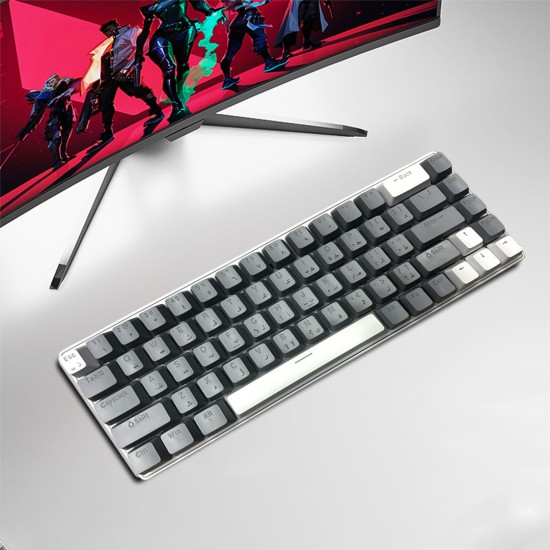 Skylion K68 Wired Mechanical RGB Gaming Keyboard - White & Grey