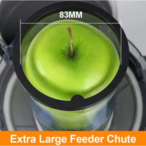 Slow juicer machine Extractor for Vegetables big Mouth Feed 2 Speed 200W