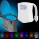 Universal Motion Activated Toilet Nightlight Device Universal Motion Activated Toilet Nightlight Device