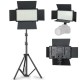Varicolor Pro RGB LED 600 Light Kit with Stand