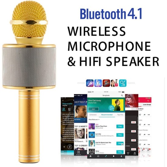 WS-858 Bluetooth Wireless Karaoke Microphone