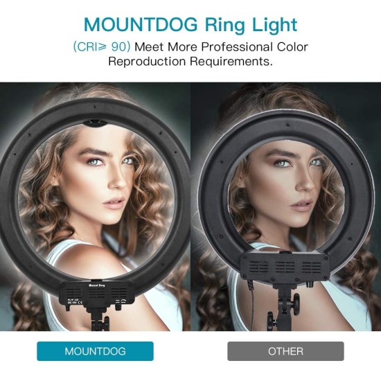 Beauty Live Ring Light Large 10inch (QX260)