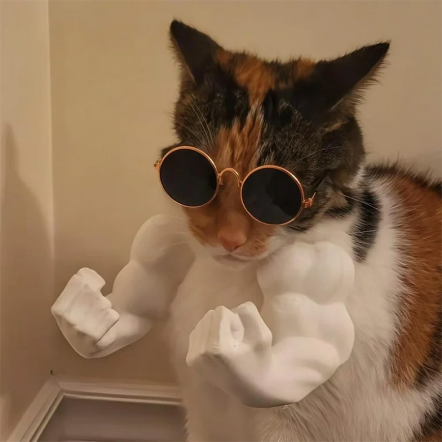 Funny Muscle Cat Arm Pendant