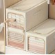 Foldable Clothes Storage Boxes