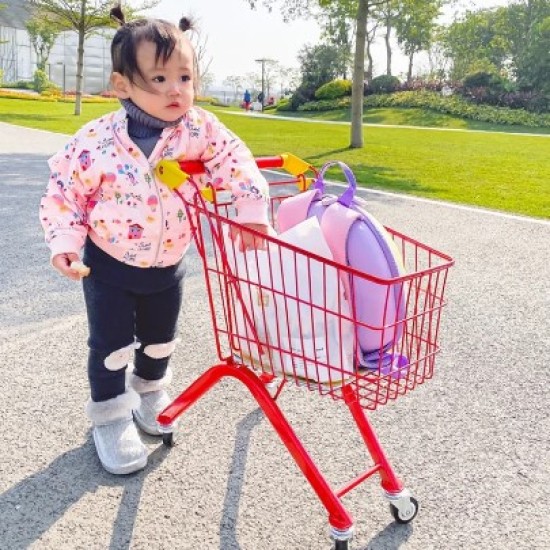 Mini Shopping Trolley For Kids