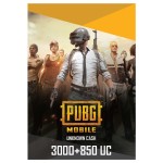 PUBG Pins 3000 + 850 UC Digital Card